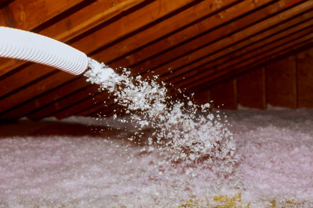 Best Fiberglass Insulation  in Offutt Af, NE