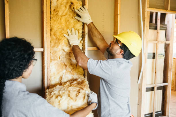 Best Local Insulation Services  in Offutt Af, NE